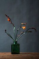 Orange flower in vase