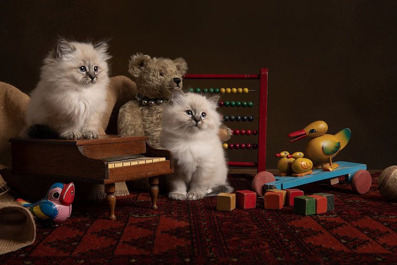 Kein Wettbewerb von Elles Rijsdijk