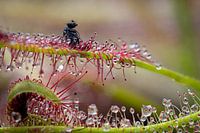 Escape is no longer possible