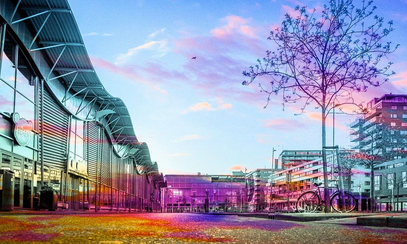 Cor Kieboomplein full collor par Tanja Otten Fotografie