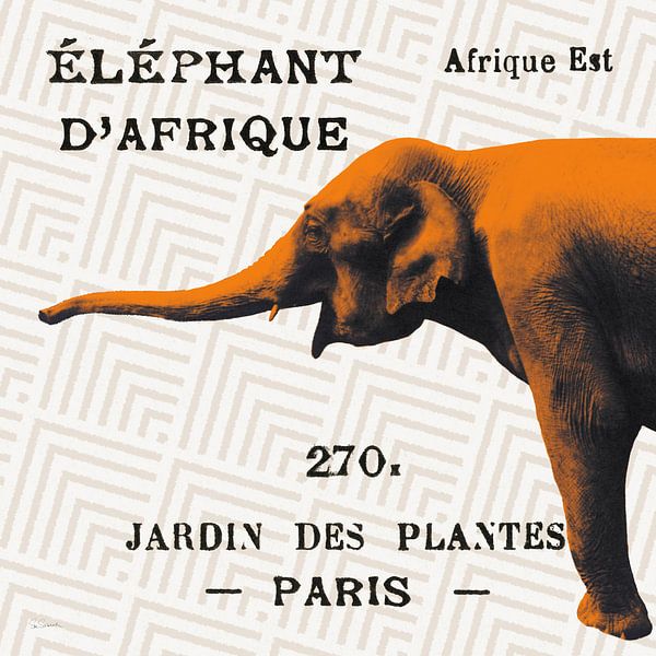 Bright Safari Elephant on Taupe, Sue Schlabach by Wild Apple