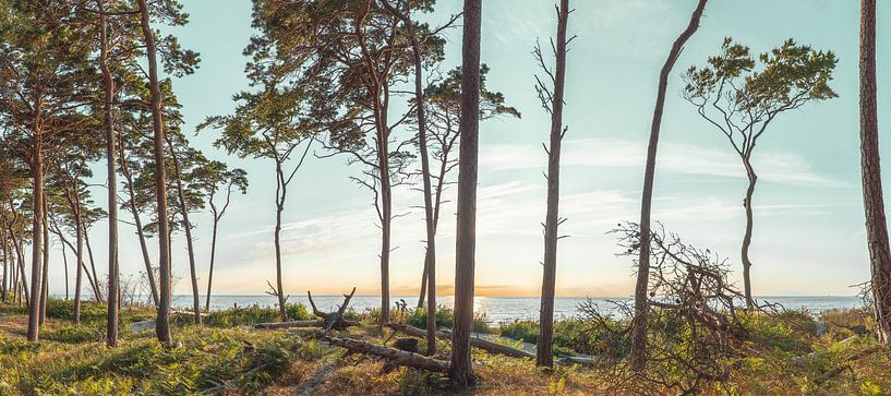 Abends am Weststrand von Steffen Gierok