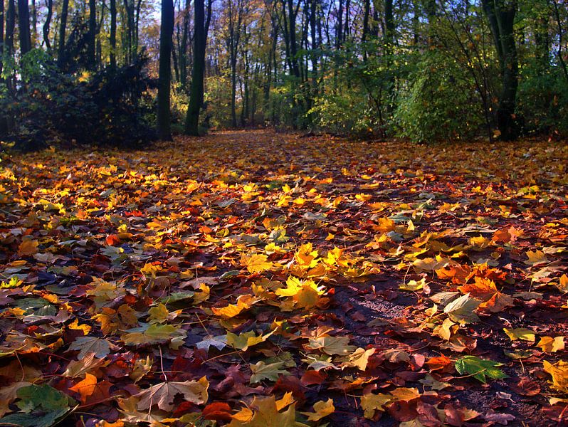 Feuillage 3 par Edgar Schermaul