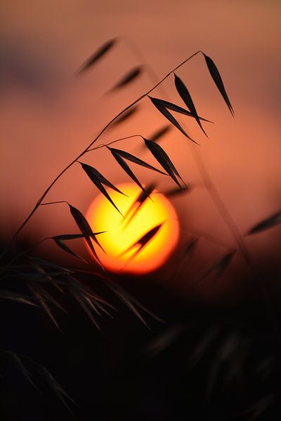 Orange red sunset in Sardinia by My Footprints