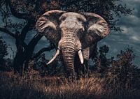 Afrikaanse olifant