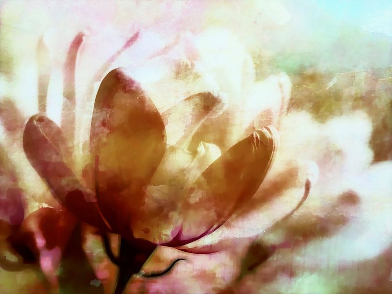 Fantasy flower in the morning sun by FRESH Fine Art