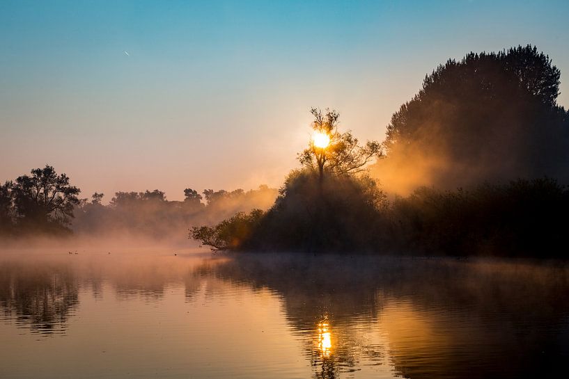 Sonnenaufgang im Biesbosch in den Niederlanden von Evelien Oerlemans