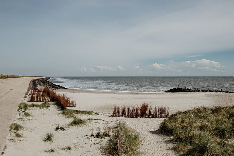 Blick auf Texel an der Nordsee von Ditta van Gent