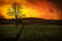 Epen (South Limburg) at sunset
