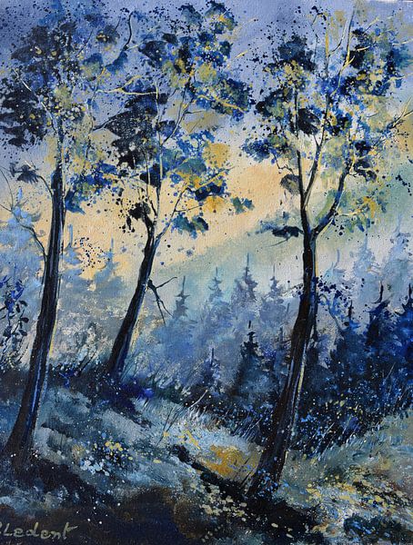 Licht im Holz von pol ledent