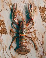 Kreeft koperkleurig op marmeren achtergrond