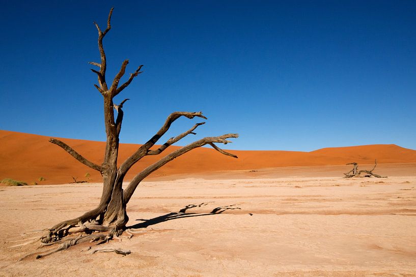 Tote Gestalten - Die Marionette von Fabrizio Gallo
