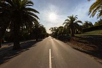 Sunset in the Barossa Valley, South Australia