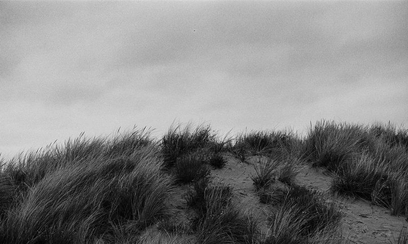 Dunes par Kathy Orbie