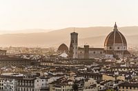 View of the old town of Florence
