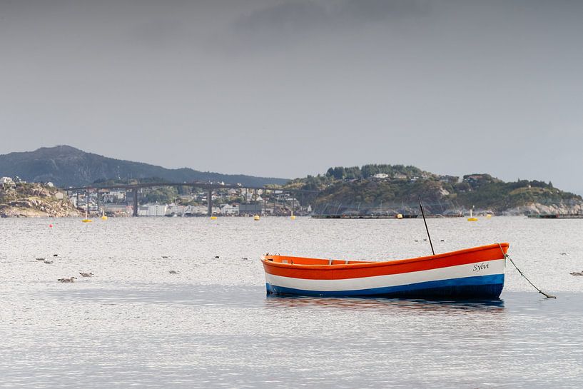 Bateau dans un fjord par Menno Schaefer