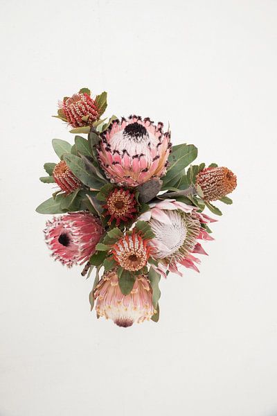 Stilleben mit rosa Blumen von Lotte de Graaf