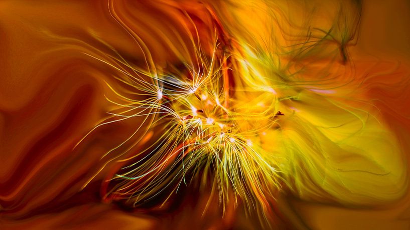 Das geheime Leben der Pflanzen Nr. 2 von Jenco van Zalk