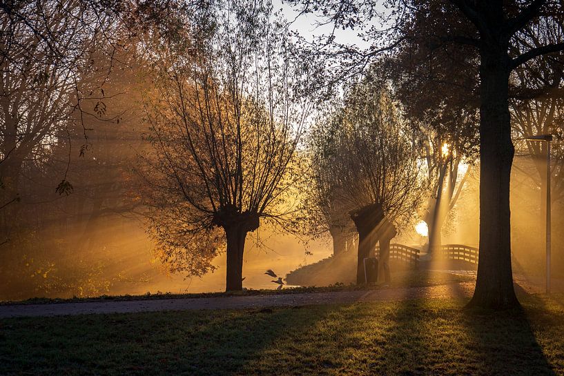 Breath of nature by Amanda van den Berg / Fotografie Amanda