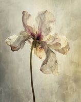 Wabi-sabi style flower