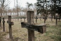 Cemetery of the Insane