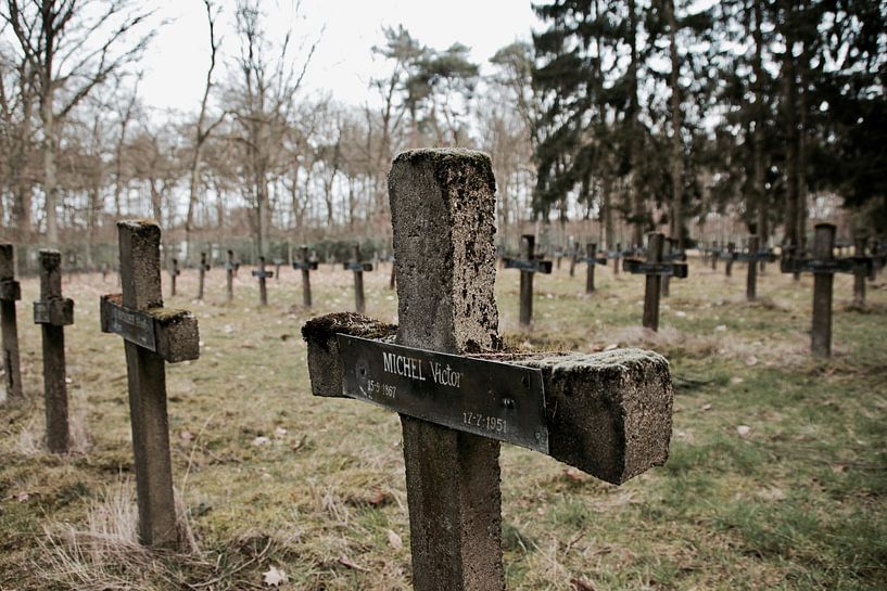 Cemetery of the Insane von Evelien Geerinckx