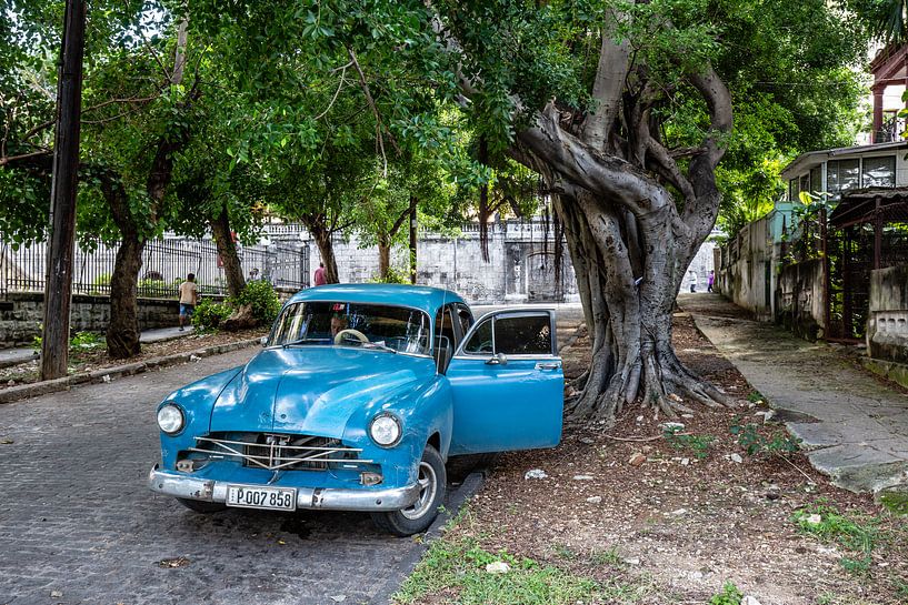 Havana by Eric van Nieuwland