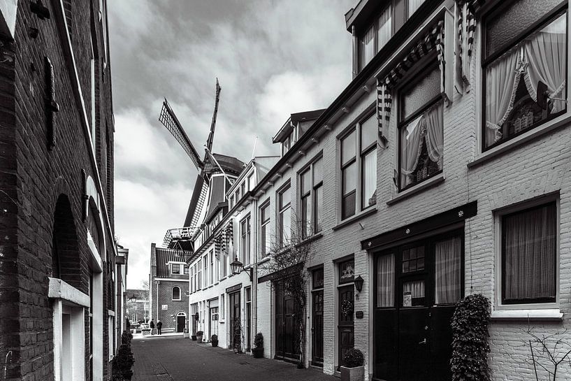 Der Adriaan von Papentorenvest von Bart Veeken