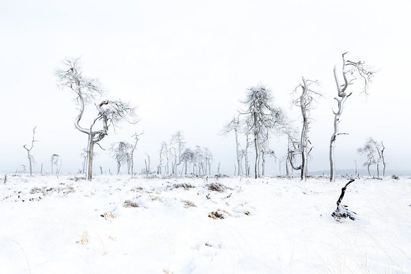 Schneelandschaft von Alain Deflou