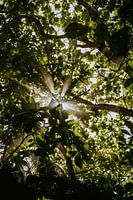 Photographie de voyage 