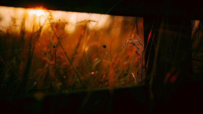 Frame of the sun by IlseKoole