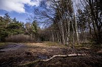 Weingut Roden Mensinge