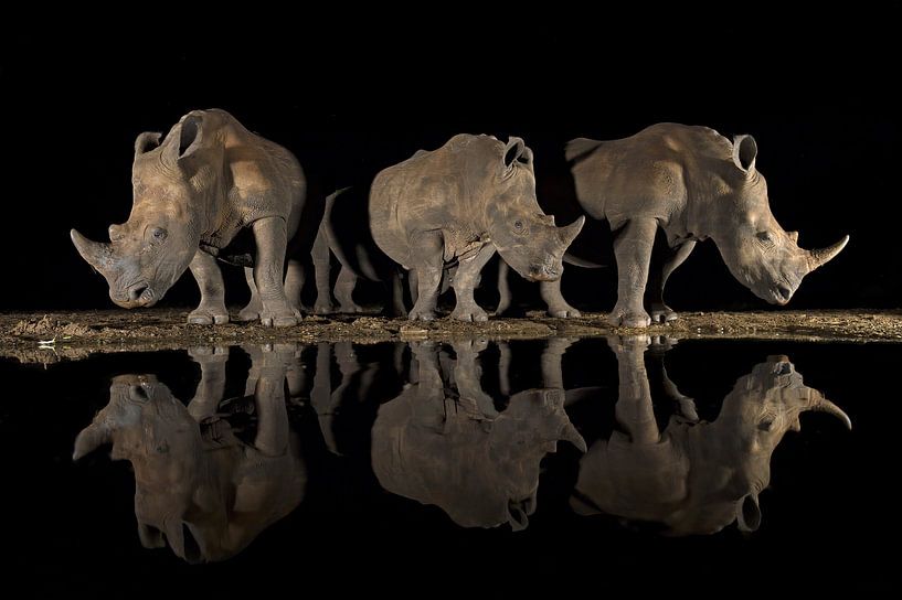 Drei Jungs von Marco Pozzi