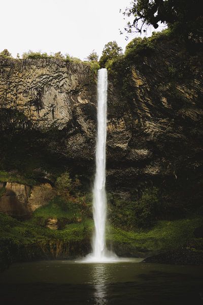 Raglan: Surferparadies und kreativer Vibe von Ken Tempelers