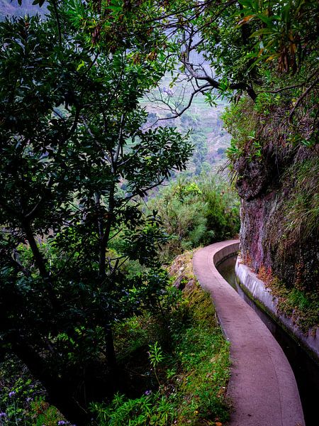 Levada par Eddy Westdijk