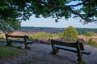 Holzbänke Die Posbank
