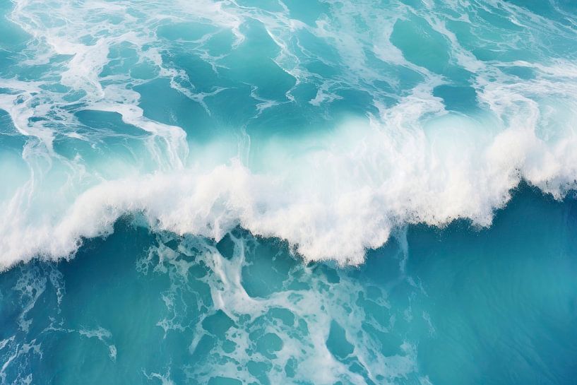 Oceanisch - Aquatische ziel van Philippe HUGONNARD