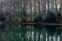 Die Natur reflektiert