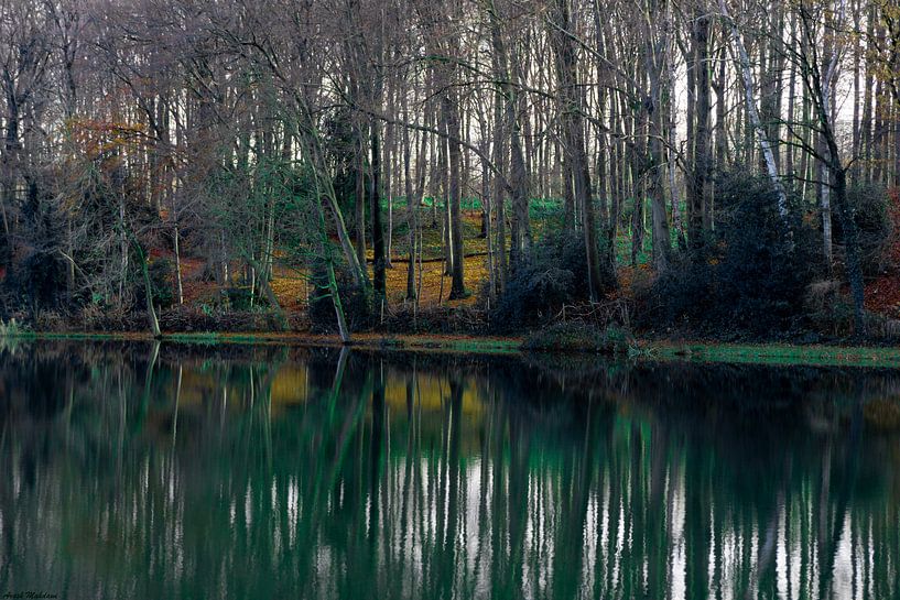 Die Natur reflektiert von Arash Mahdawi Nader