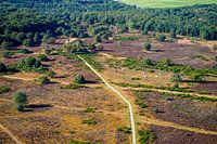 Die Hoorneboeg-Heide aus der Luft [05]