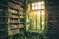 Lost Places: Library