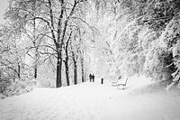 Winterliche Waldwanderung