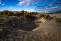 Dünen am Strand von Breskens.