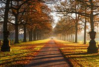 Kasteellaan singraven