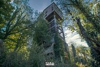 Ancienne usine de béton, reprise par la nature.