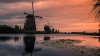 Kinderdijk