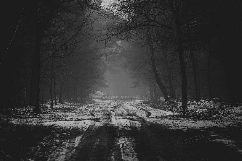 Fog at the end of the forest road by Sasja van der Grinten
