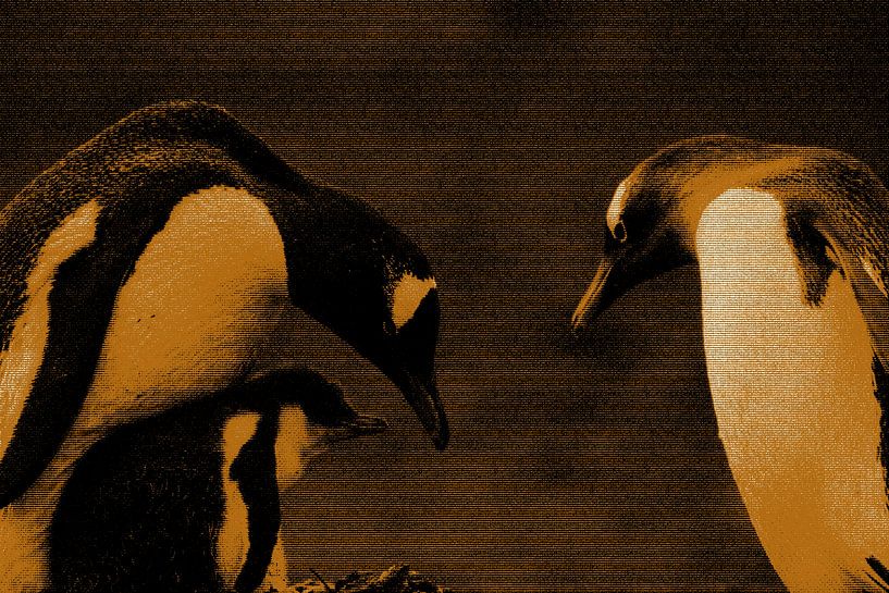 Eselspinguine von Maurice Dawson
