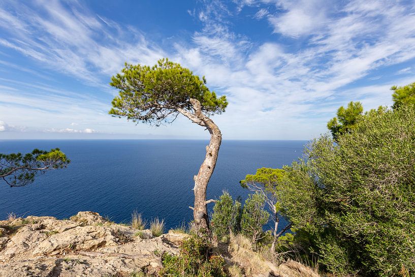 Banyalbufar Westküste Mallorca von Dennis Eckert