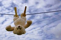 Un drôle d'ours suspendu pour sécher.